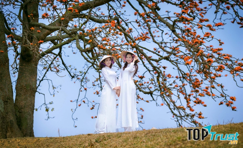 Bài thơ hay về mùa hoa gạo tháng ba