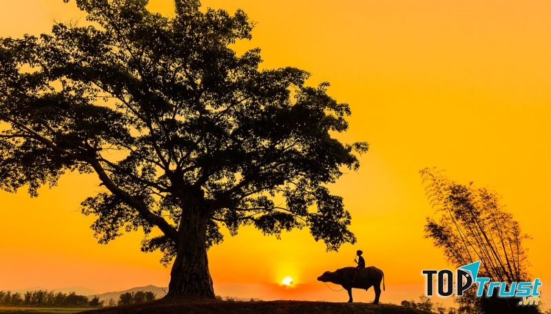 Bài thơ hay về quê mẹ