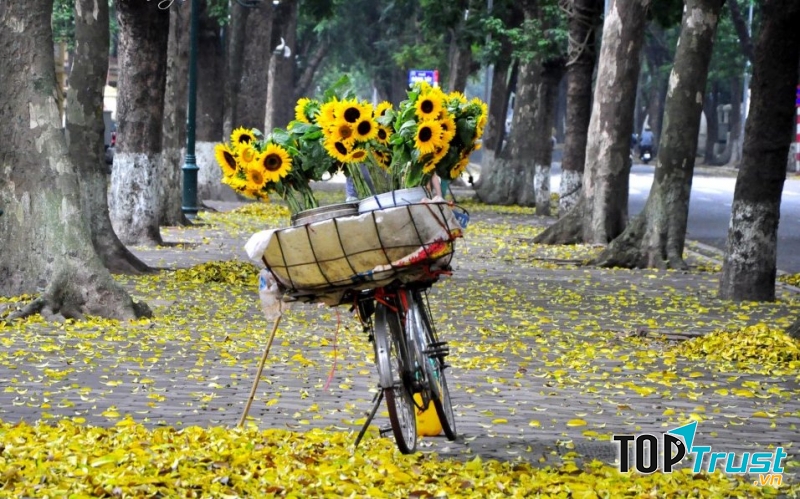 Bài thơ hay về thời khắc giao mùa cuối thu đầu đông