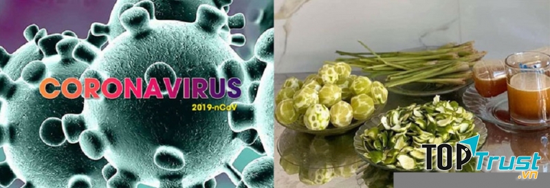 Bài thơ hay viết về dịch NcoV