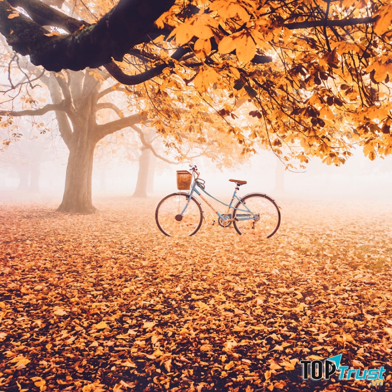 Bài thơ hay viết về khoảnh khắc giao mùa chuyển từ Thu sang Đông