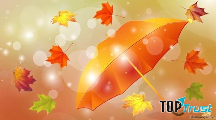 Bài thơ hay viết về mùa gió heo may