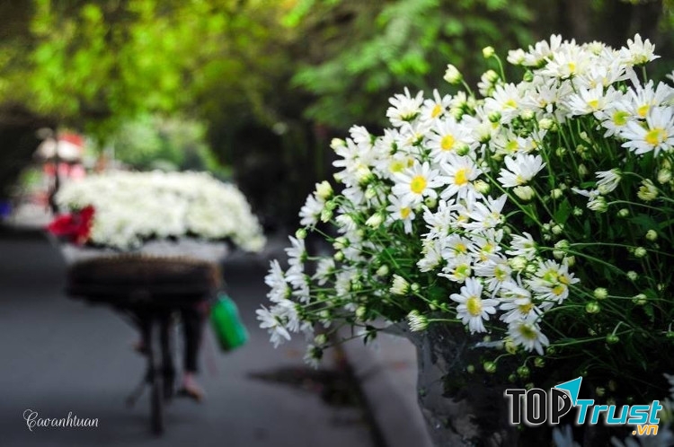 Bài thơ hay viết về những ngày đầu đông