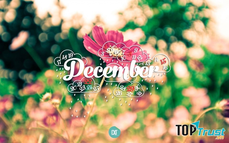 Bài thơ hay viết về tháng 12