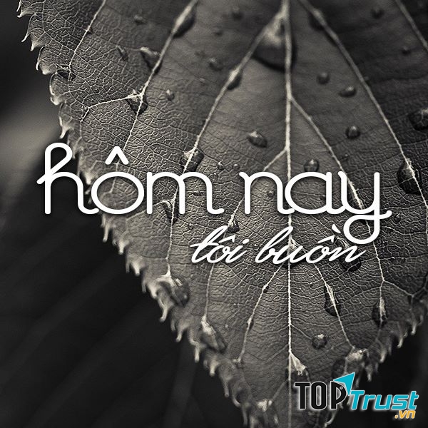 Bài thơ tình buồn hay nhất