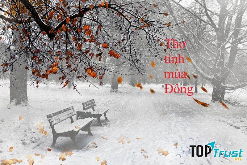 Bài thơ tình hay viết về mùa đông