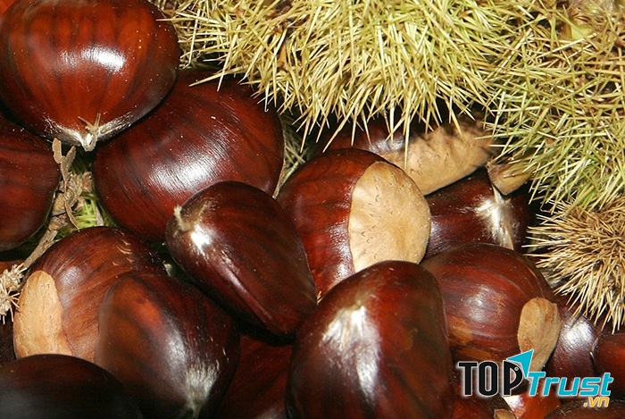 Bài thuốc cực hay từ hạt dẻ