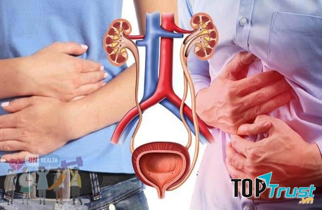 Bài thuốc dân gian hiệu quả nhất điều trị viêm đường tiết niệu