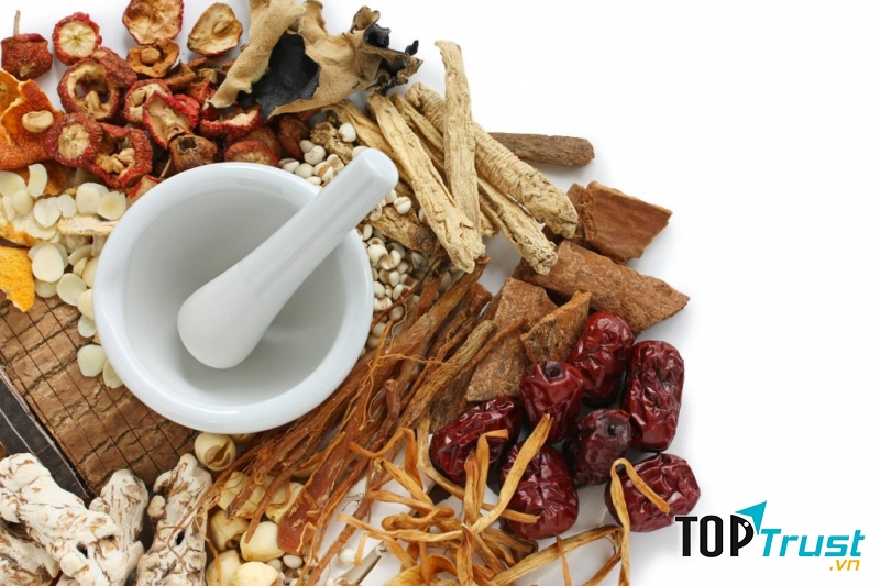 Bài thuốc Đông Y chữa rối loạn tiền đình hiệu quả