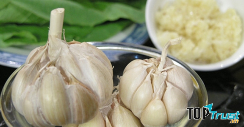 Bài thuốc trị ho có đờm, ho gió, ho khan ho dai dẳng lâu ngày không khỏi hiệu quả nhất