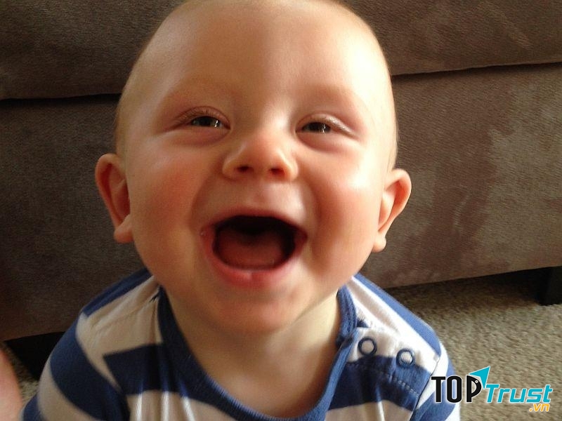 Bài văn bá đạo của học sinh