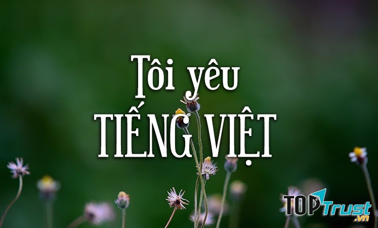 Bài văn nghị luận về Giữ gìn sự trong sáng của tiếng Việt hay nhất