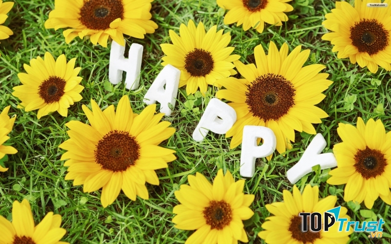 Bài văn nghị luận về hạnh phúc hay nhất