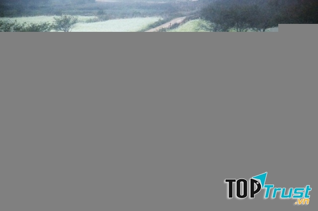 Bài văn tả con đường đến trường hay nhất