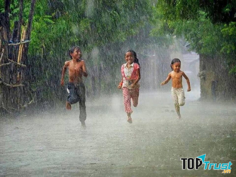 Bài văn tả cơn mưa hay nhất