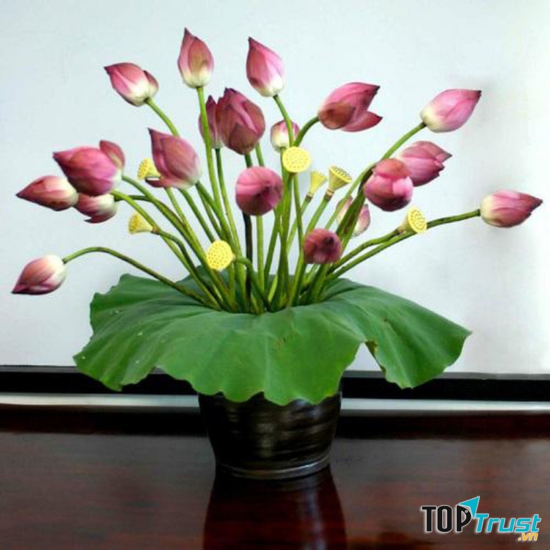 Bài văn tả hoa sen hay nhất