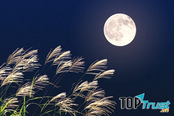 Bài văn tả một đêm trăng đẹp hay nhất