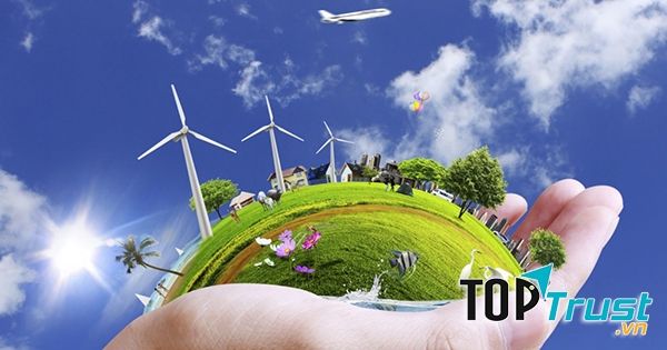 Bài văn thuyết minh về vai trò của cây cối trong việc bảo vệ môi trường sống