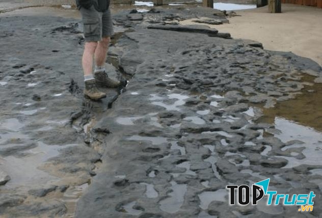 Bí mật về dấu chân con người cổ xưa