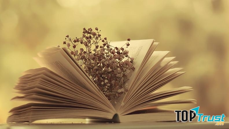 Bí quyết giúp bạn ôn tập tốt môn Ngữ Văn cho kì thi Đại Học