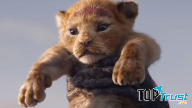 Bộ phim được làm lại hấp dẫn nhất dự kiến chiếu trong năm 2019, 2020.