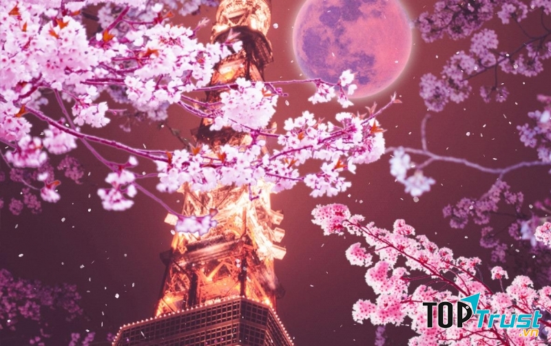 Bộ phim Nhật Bản hay nhất thế kỷ 21