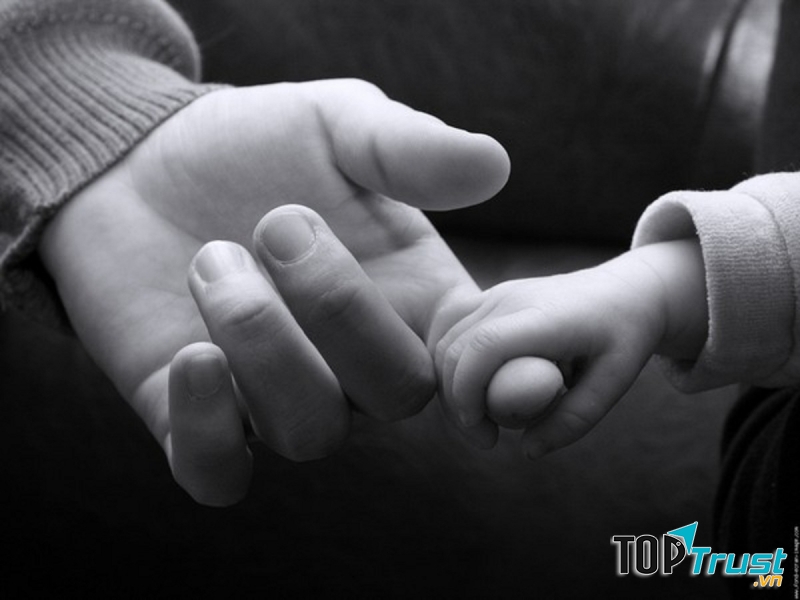 Bộ phim về tình mẫu tử hay nhất mọi thời đại