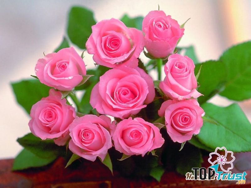 Bước làm hoa đất sét giống hoa thật nhất