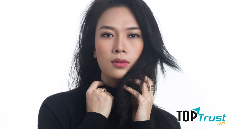 Ca sĩ Việt Nam có hoạt động nổi bật nhất năm 2017