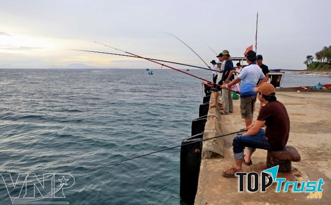 Cách câu cá hiệu quả nhất có thể bạn chưa biết