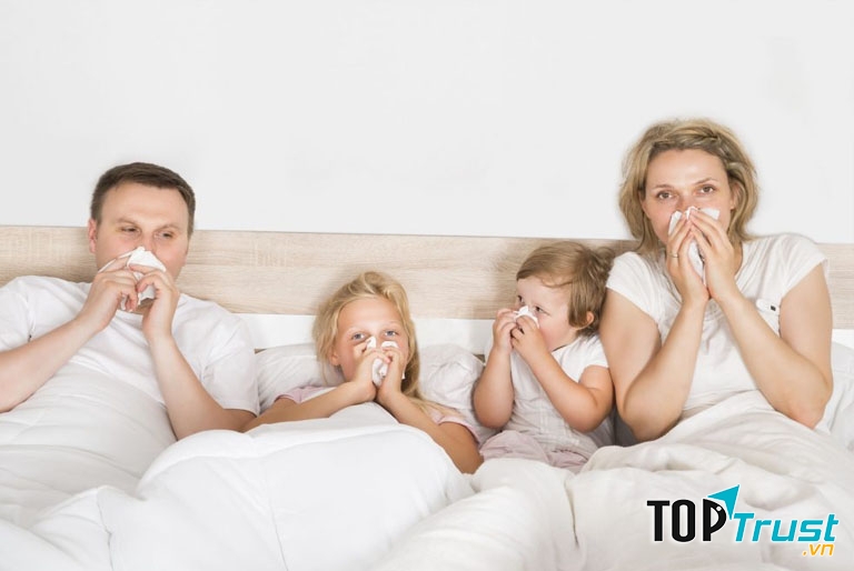 Cách chữa viêm mũi dị ứng tại nhà không cần dùng thuốc