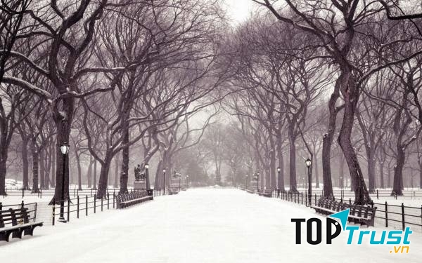 Cách giữ gìn sức khỏe trong mùa đông