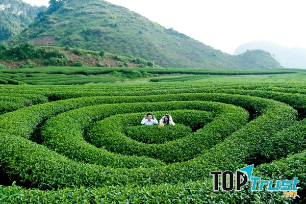 Cách giúp bạn luôn cảm thấy hạnh phúc