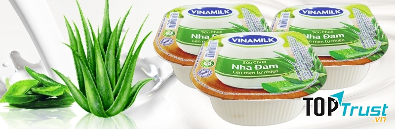 Cách làm sữa chua nha đam ngon nhất