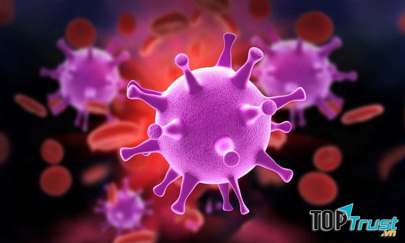 Cách phòng tránh các bệnh xã hội hiệu quả