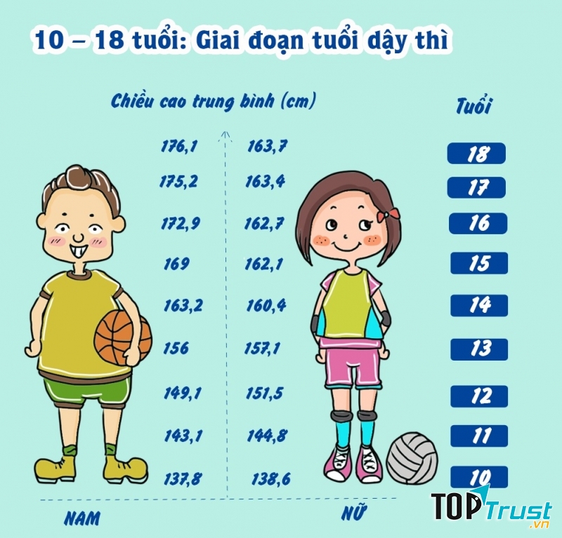 Cách tăng chiều cao tuổi dậy thì hữu ích nhất