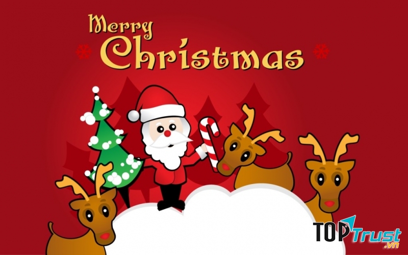 Cách trang trí cây thông Noel đẹp nhất trong đêm Giáng sinh