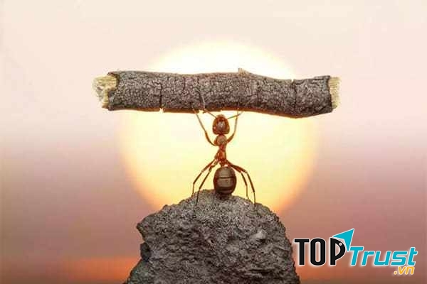 Cách vượt qua khó khăn trong cuộc sống