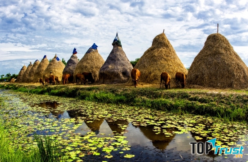 Cái nhất chỉ có ở Quảng Nam