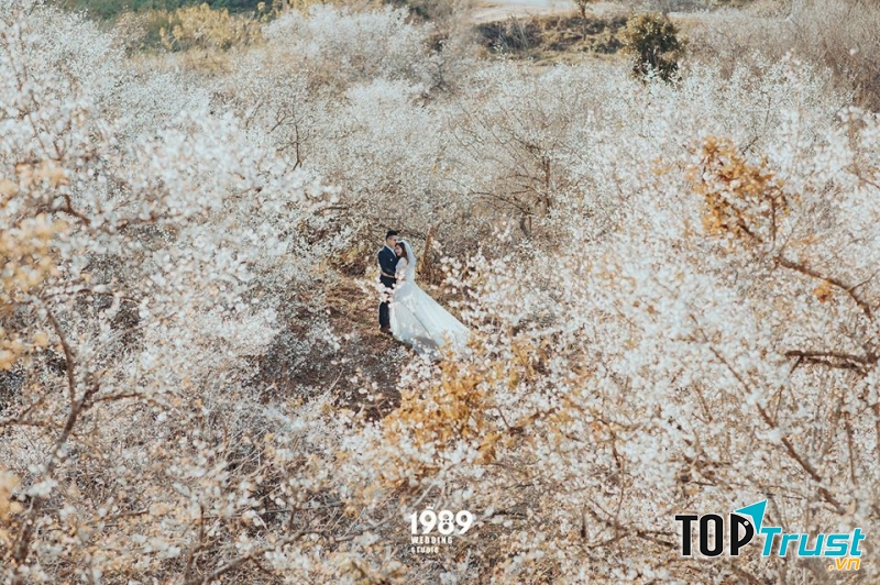 Cánh đồng hoa đẹp ngây ngất cho các cặp đôi đang hẹn hò.