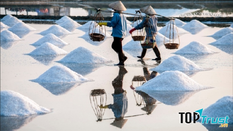 Cánh đồng muối đẹp nhất Việt Nam