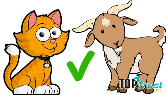 Cặp con giáp hợp mệnh đến với nhau sẽ hạnh phúc suốt đời