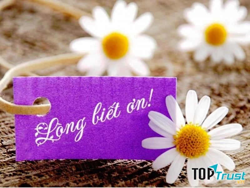 Câu chuyện hay về lòng biết ơn