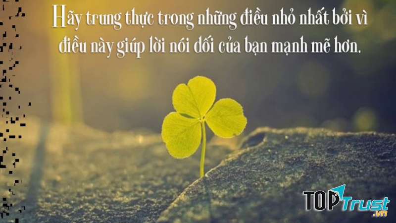 Câu chuyện hay về lòng trung thực đáng tự hào nhất