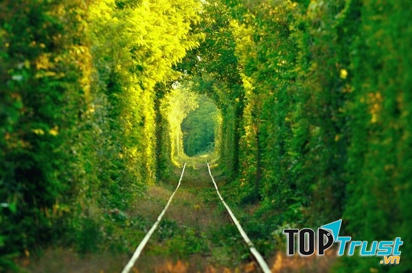 Câu nói hay nhất về cuộc sống truyền cho bạn cảm hứng yêu đời