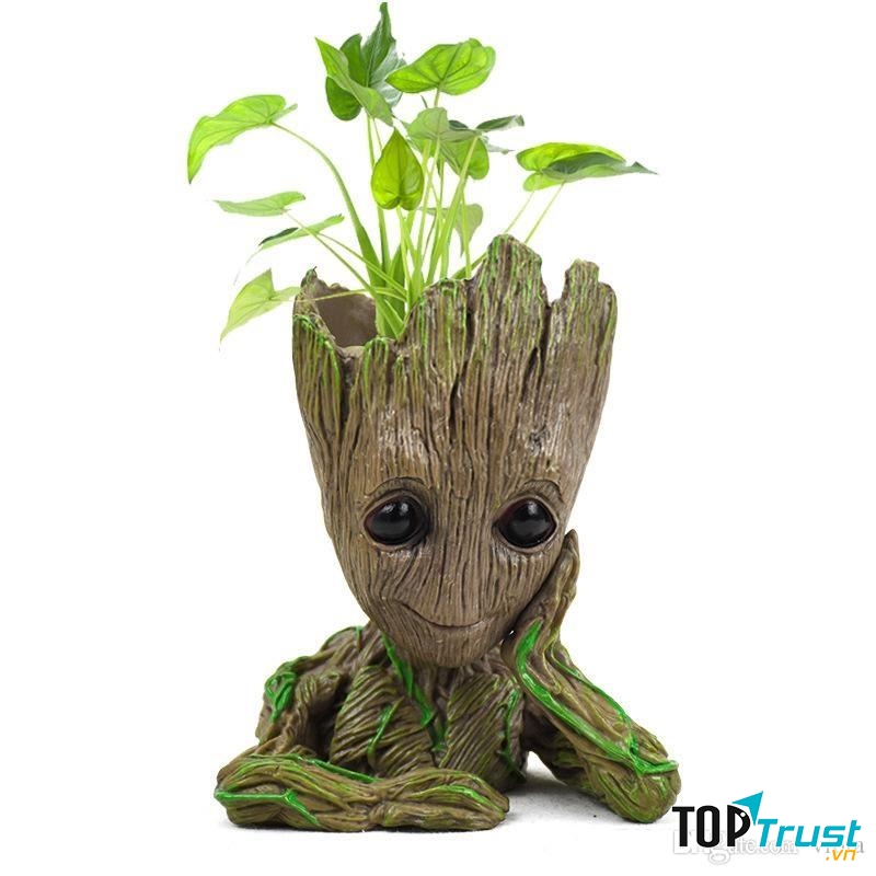 Cây tài lộc đặt trên bàn làm việc giúp phong thủy tốt