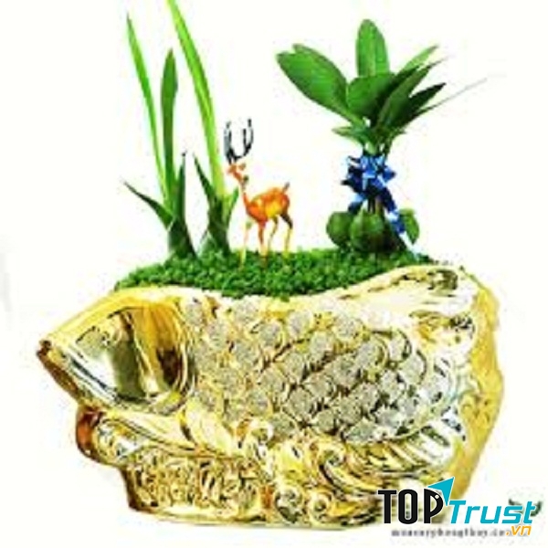 Cây tài lộc tốt nhất để thu hút may mắn vào dịp Tết Nguyên Đán 2020