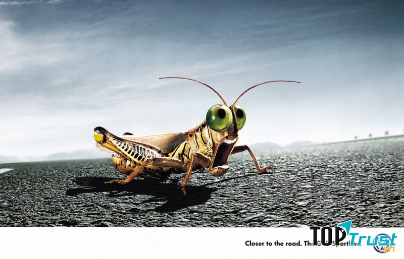 Clip quảng cáo hài hước nhất thế giới