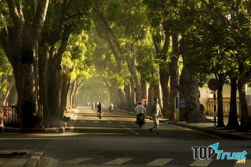 Con đường đẹp nhất ở Hà Nội để bạn đi lượn