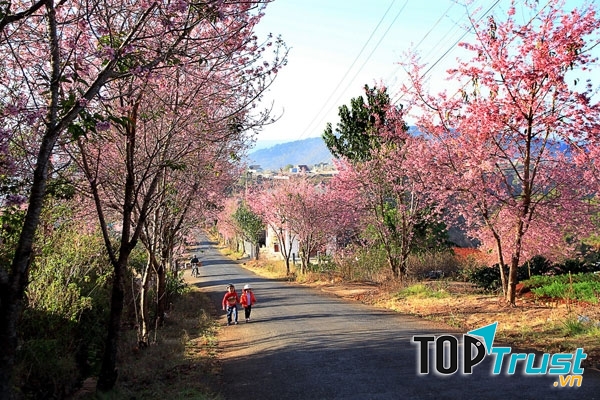 Con đường đẹp nhất Việt Nam